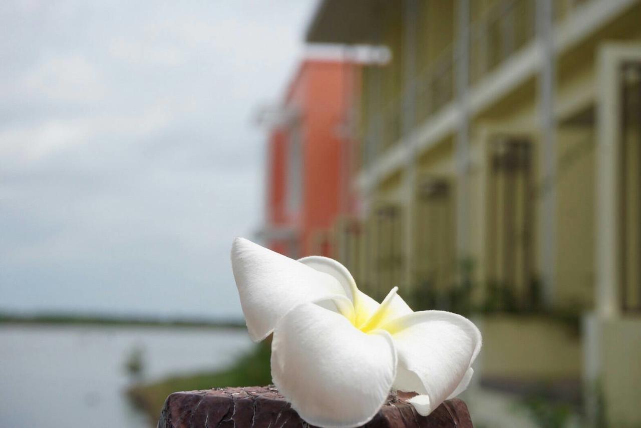 Baan Talay See Cream Resort ساموت سونكرام المظهر الخارجي الصورة